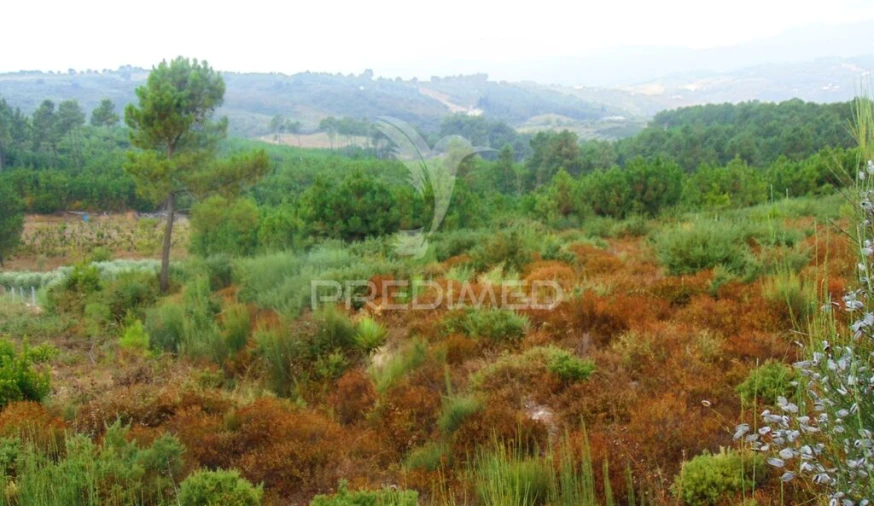 Terreno para Venda em Abaças Foto 5