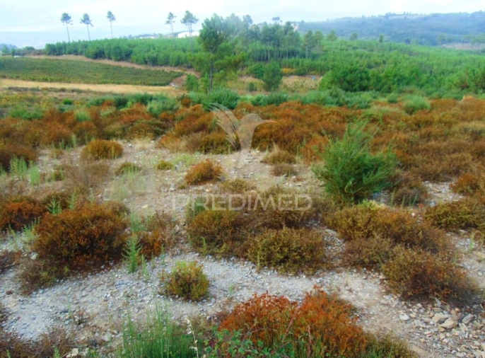 Terreno para Venda em Abaças Foto 13