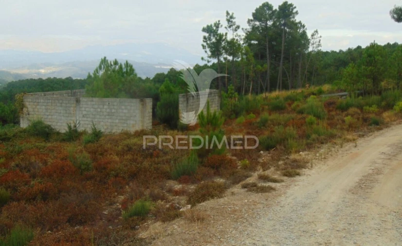 Terreno para Venda em Abaças Foto 7