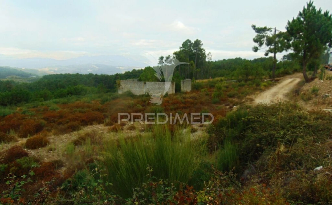 Terreno para Venda em Abaças Foto 6