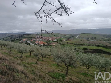 Moradia T4 para Venda em Meirinhos