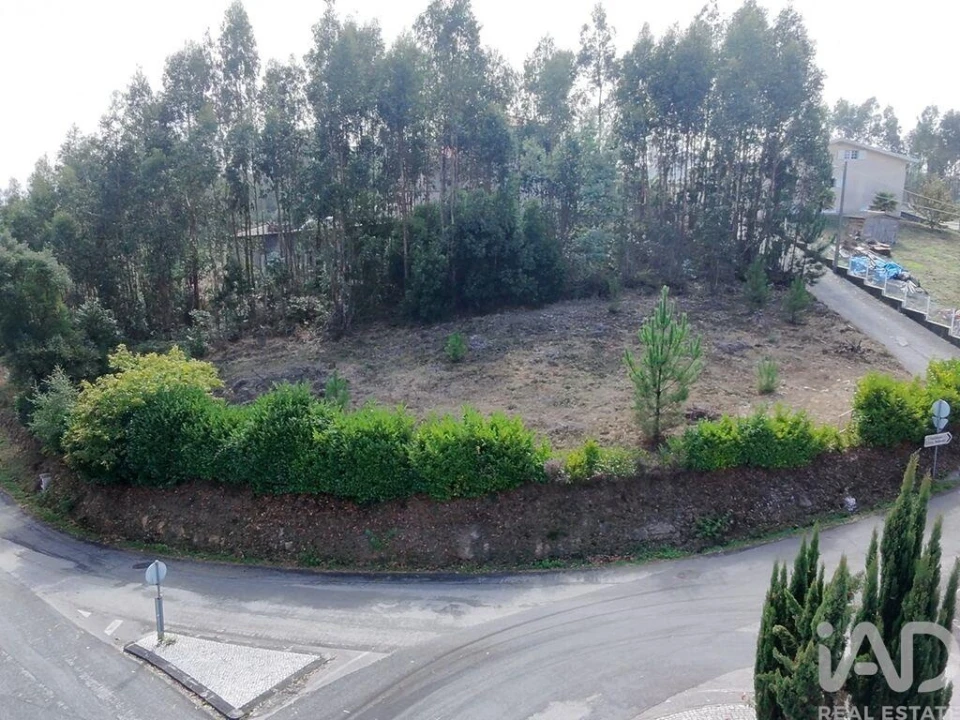 Terreno para Venda em Semide e Rio Vide Foto 20