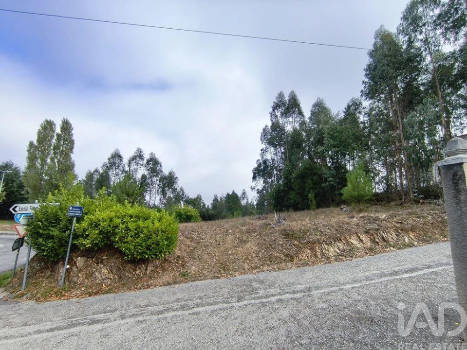 Terreno para Venda em Semide e Rio Vide Foto 13