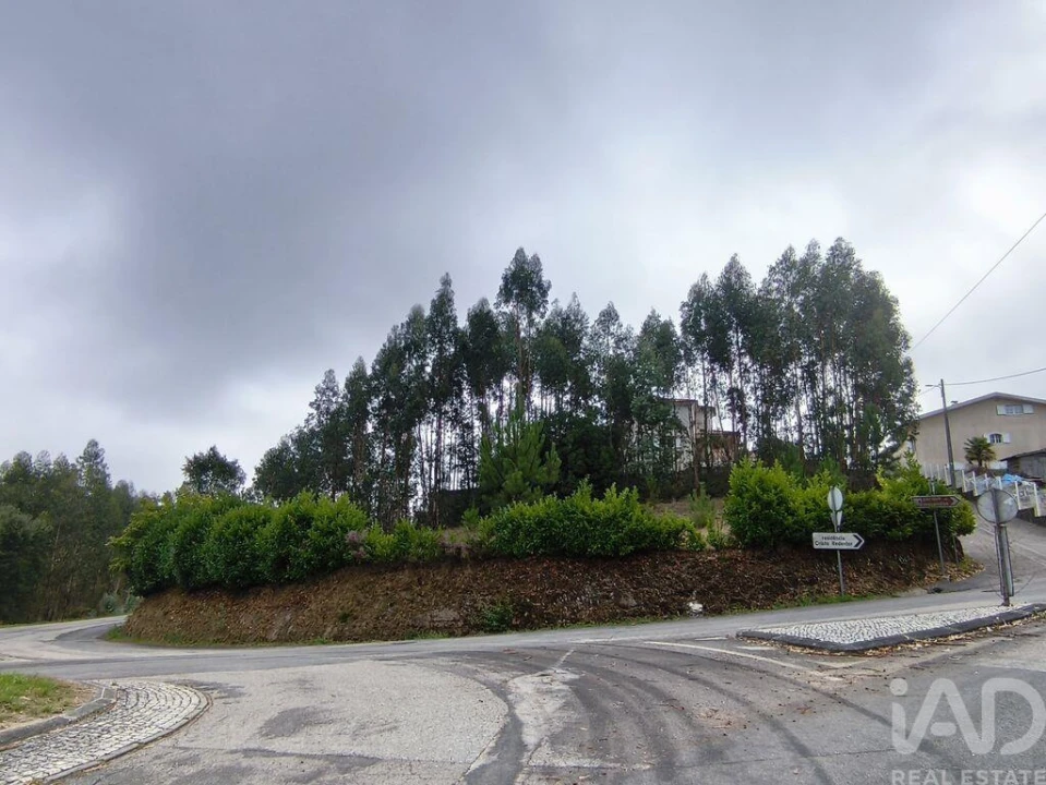 Terreno para Venda em Semide e Rio Vide Foto 12