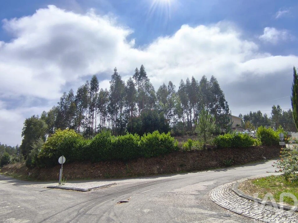 Terreno para Venda em Semide e Rio Vide Foto 19