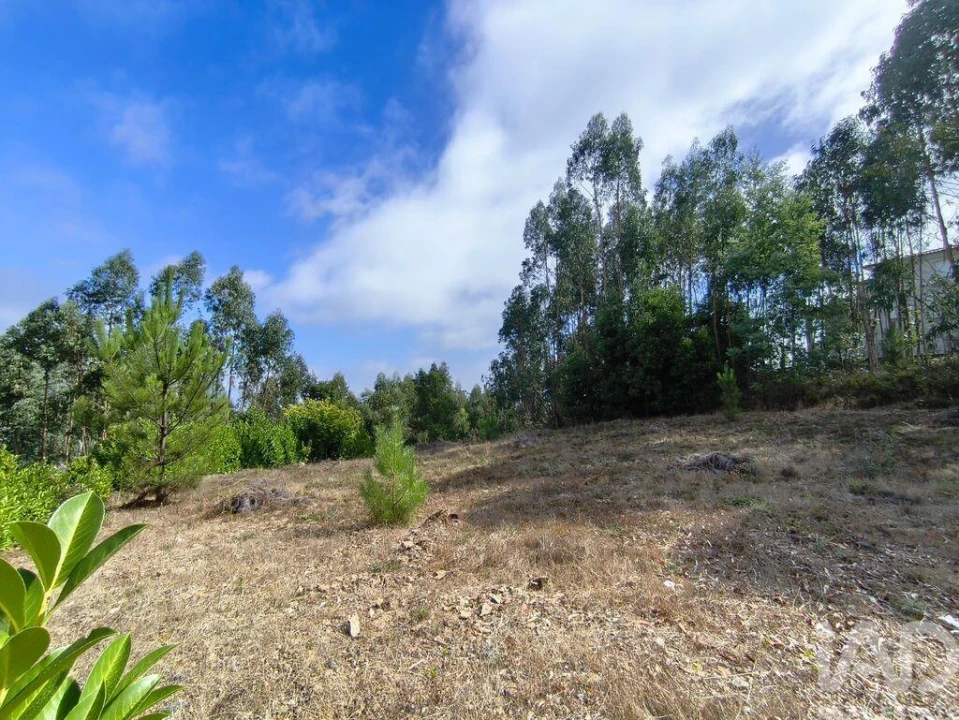 Terreno para Venda em Semide e Rio Vide Foto 17