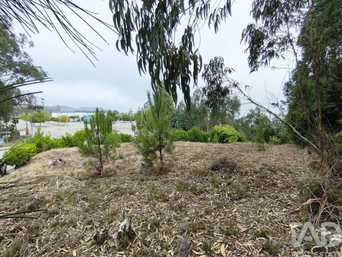 Terreno para Venda em Semide e Rio Vide Foto 7