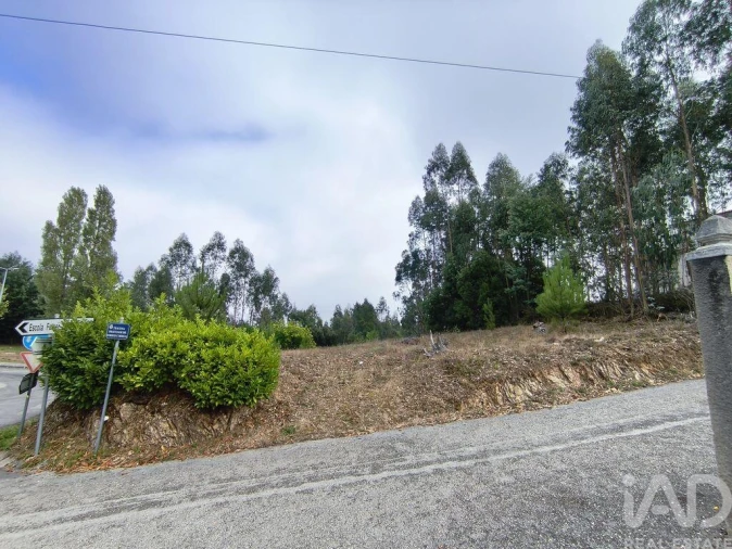 Terreno para Venda em Semide e Rio Vide Foto 13