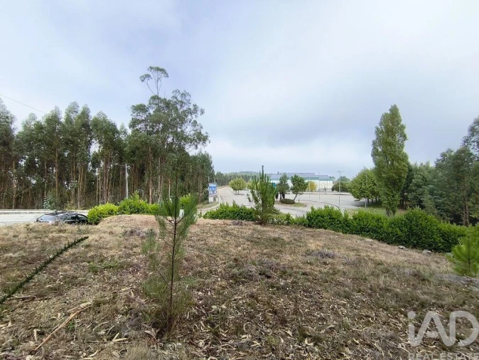 Terreno para Venda em Semide e Rio Vide Foto 8