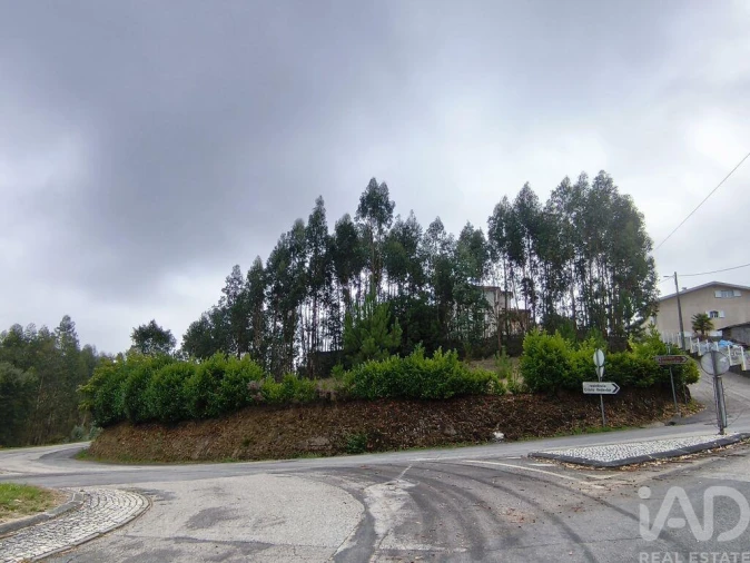 Terreno para Venda em Semide e Rio Vide Foto 12