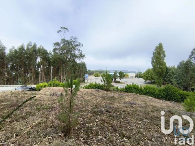 Terreno para Venda em Semide e Rio Vide Foto 6