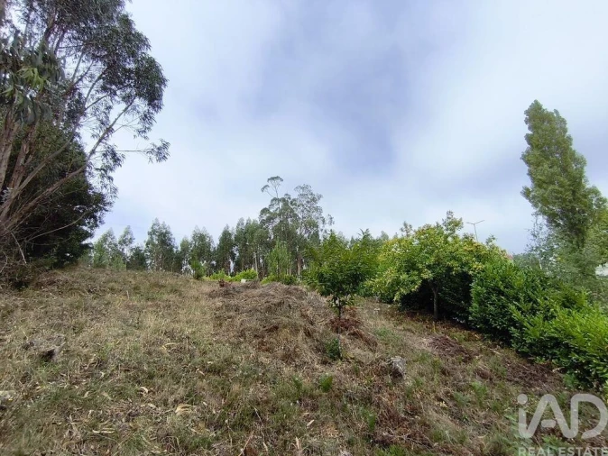Terreno para Venda em Semide e Rio Vide Foto 9