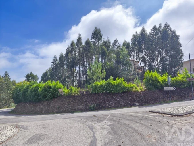Terreno para Venda em Semide e Rio Vide Foto 18