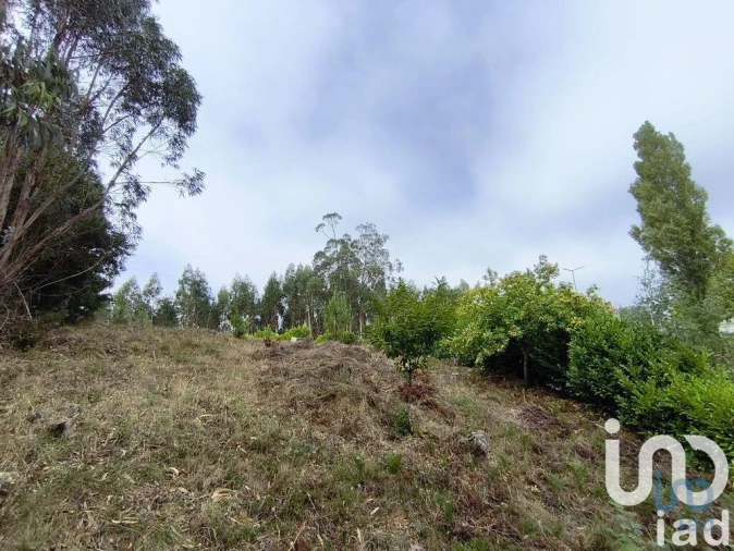 Terreno para Venda em Semide e Rio Vide Foto 5