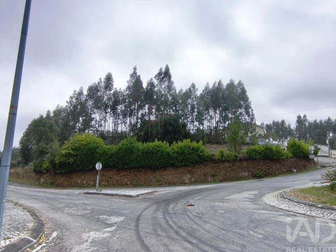 Terreno para Venda em Semide e Rio Vide Foto 11