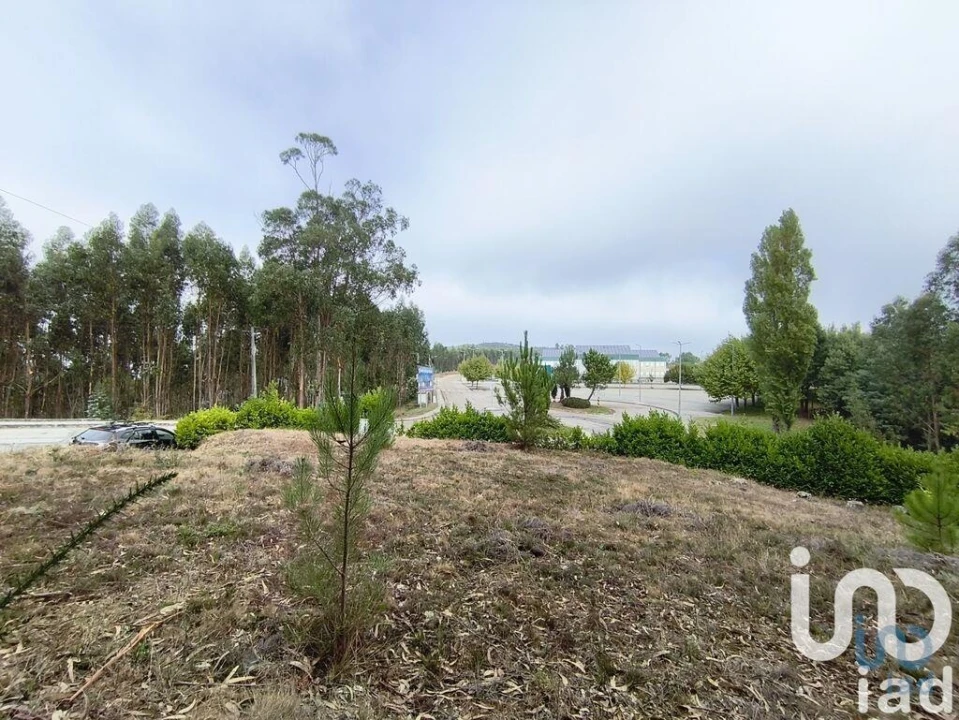 Terreno para Venda em Semide e Rio Vide Foto 6