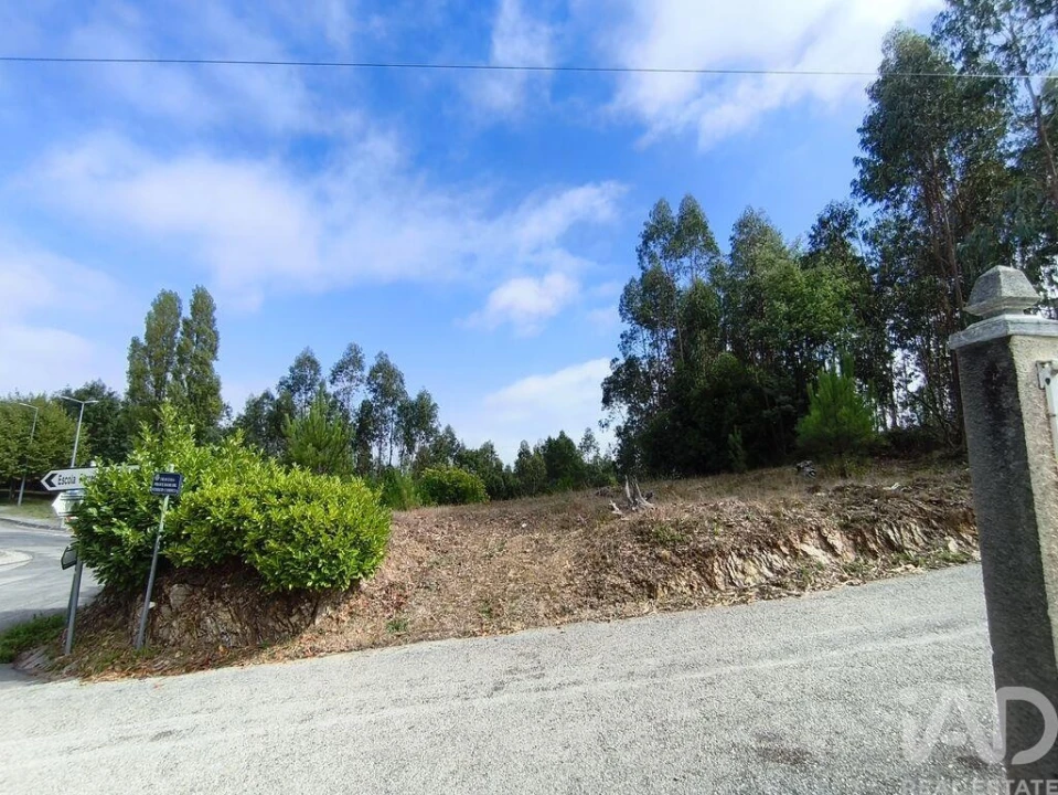 Terreno para Venda em Semide e Rio Vide Foto 22