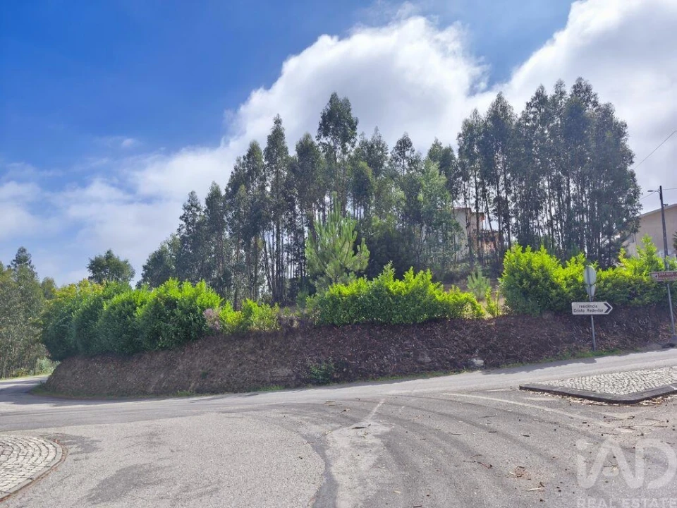 Terreno para Venda em Semide e Rio Vide Foto 18