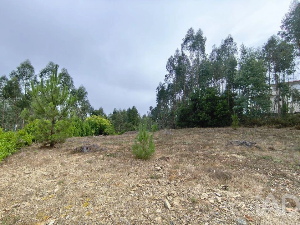 Terreno para Venda em Semide e Rio Vide Foto 10