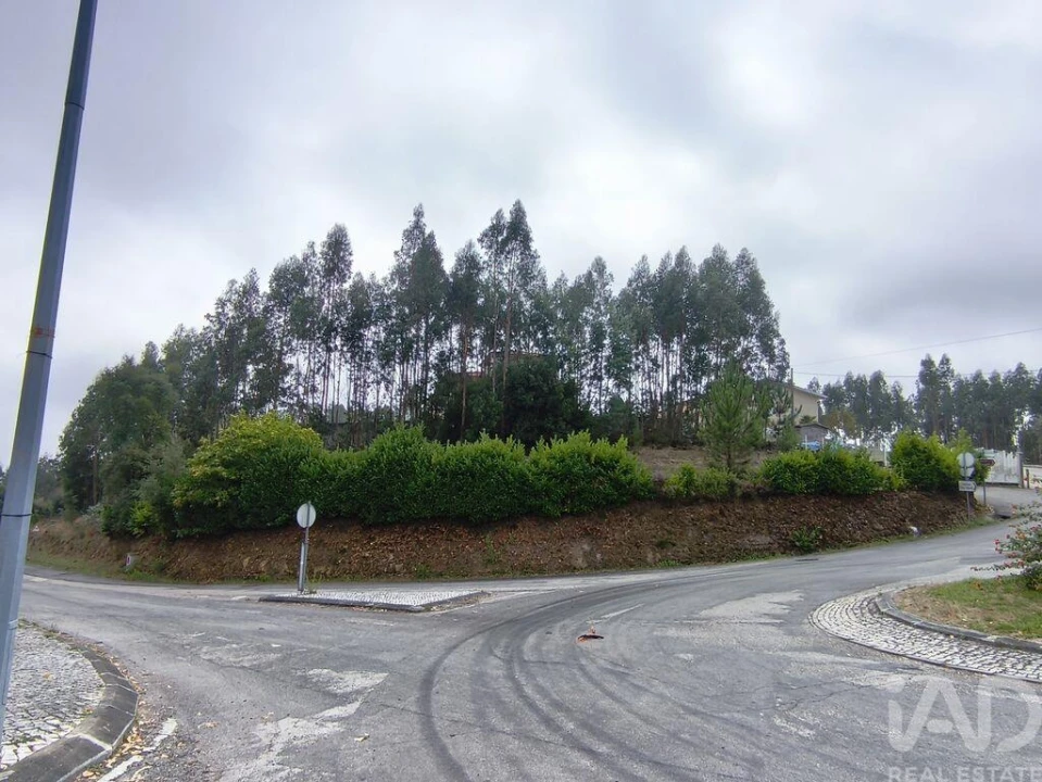 Terreno para Venda em Semide e Rio Vide Foto 11