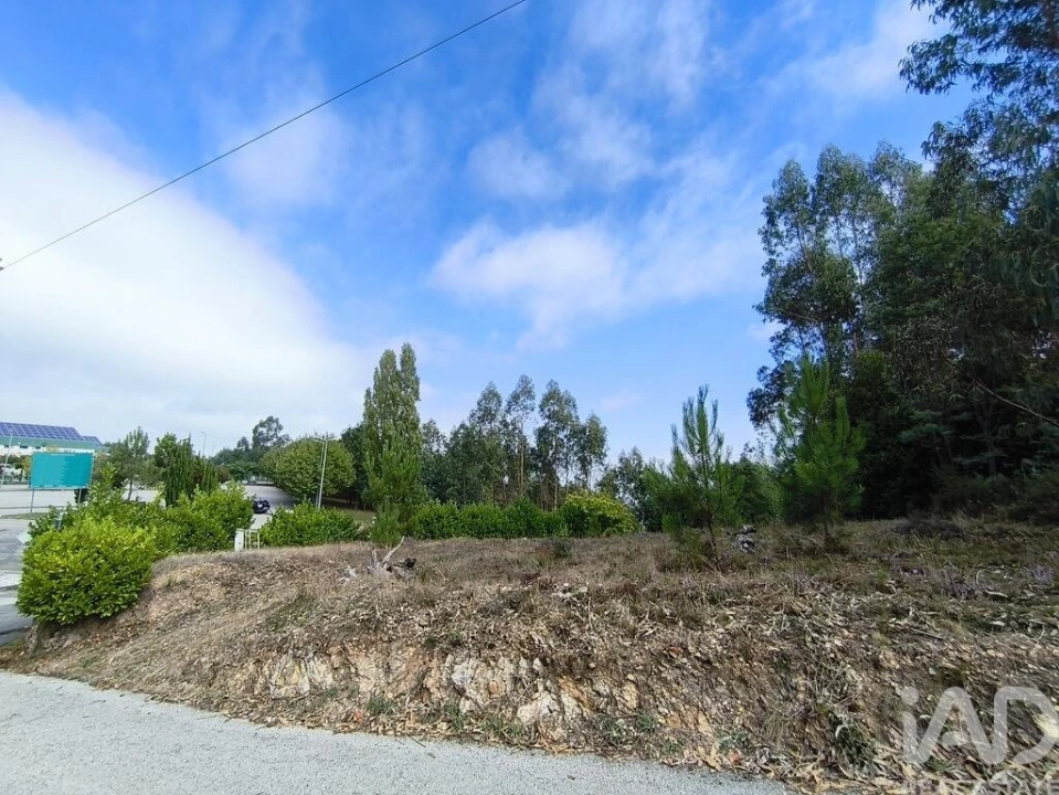 Terreno para Venda em Semide e Rio Vide Foto 24