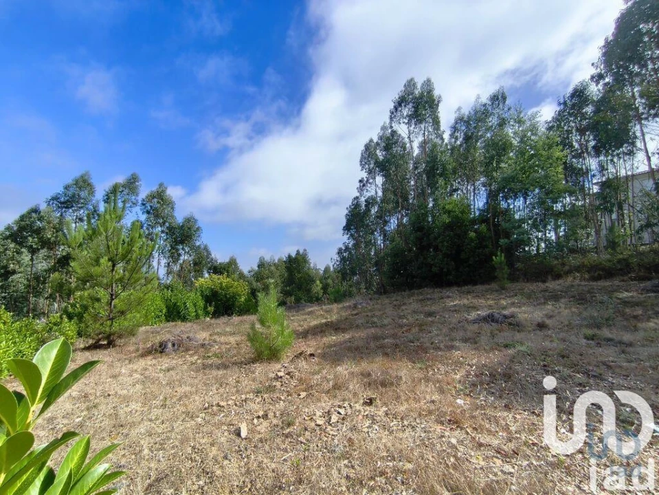 Terreno para Venda em Semide e Rio Vide Foto 4