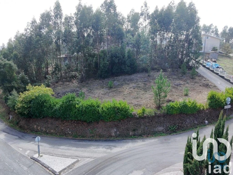 Terreno para Venda em Semide e Rio Vide Foto 1