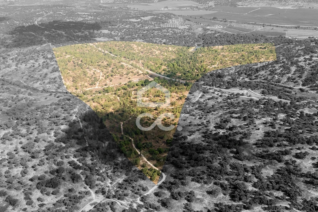 Quinta para Venda em Mora Foto 5