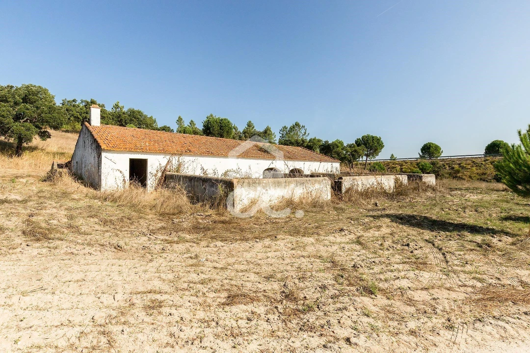 Quinta para Venda em Mora Foto 22