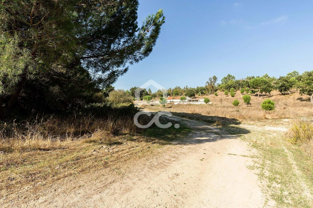 Quinta para Venda em Mora Foto 28