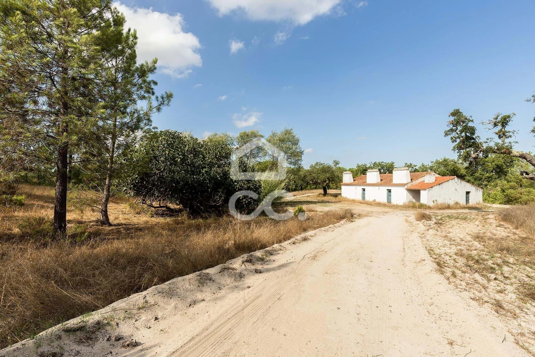 Quinta para Venda em Mora Foto 9
