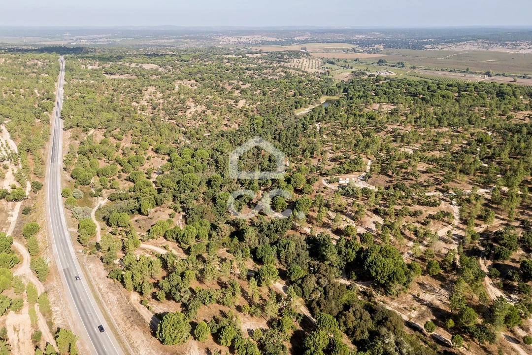 Quinta para Venda em Mora Foto 7