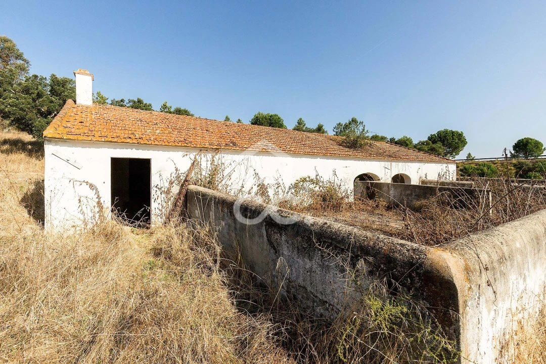 Quinta para Venda em Mora Foto 23