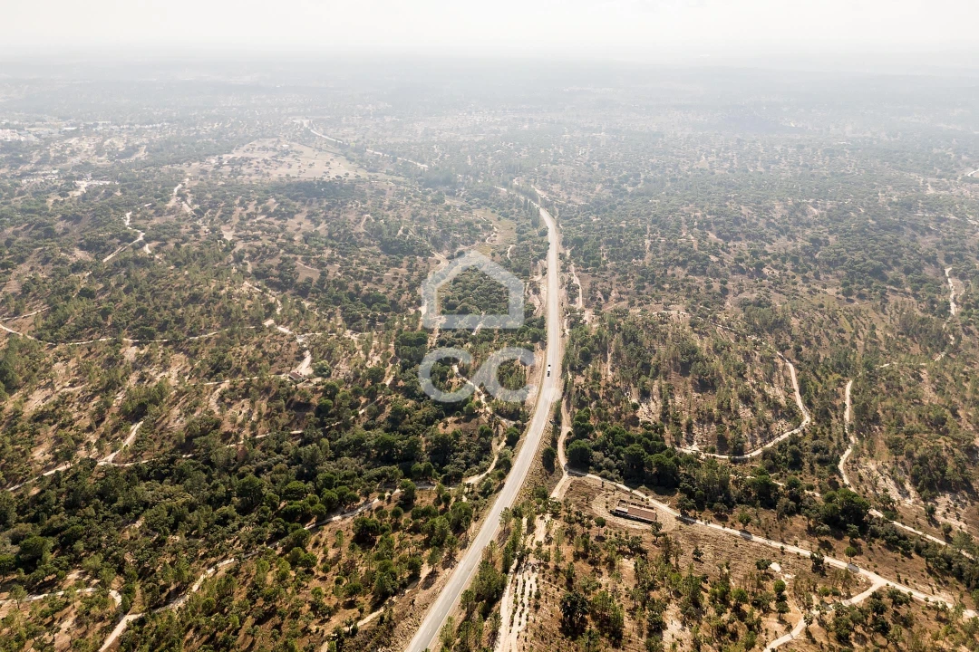Quinta para Venda em Mora Foto 46