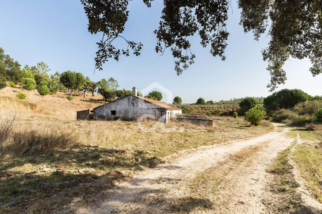 Quinta para Venda em Mora Foto 25