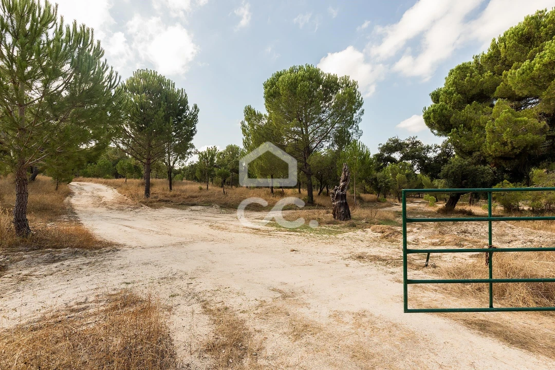 Quinta para Venda em Mora Foto 21