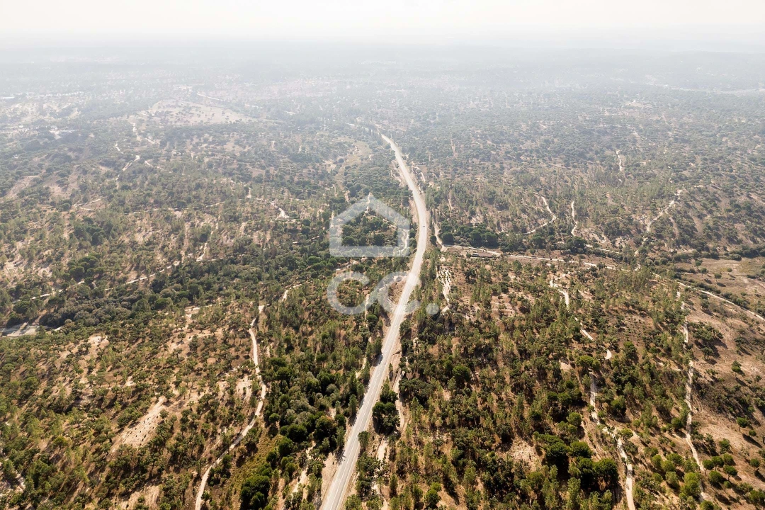 Quinta para Venda em Mora Foto 45