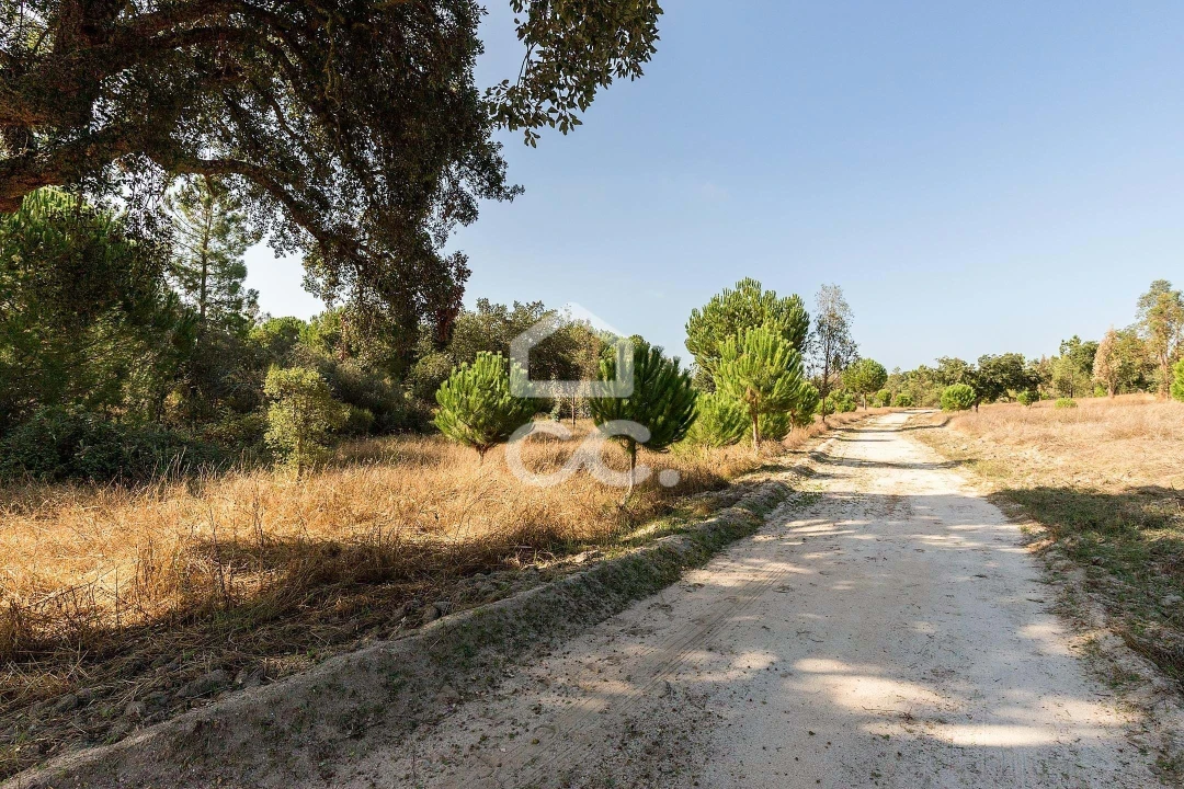 Quinta para Venda em Mora Foto 27