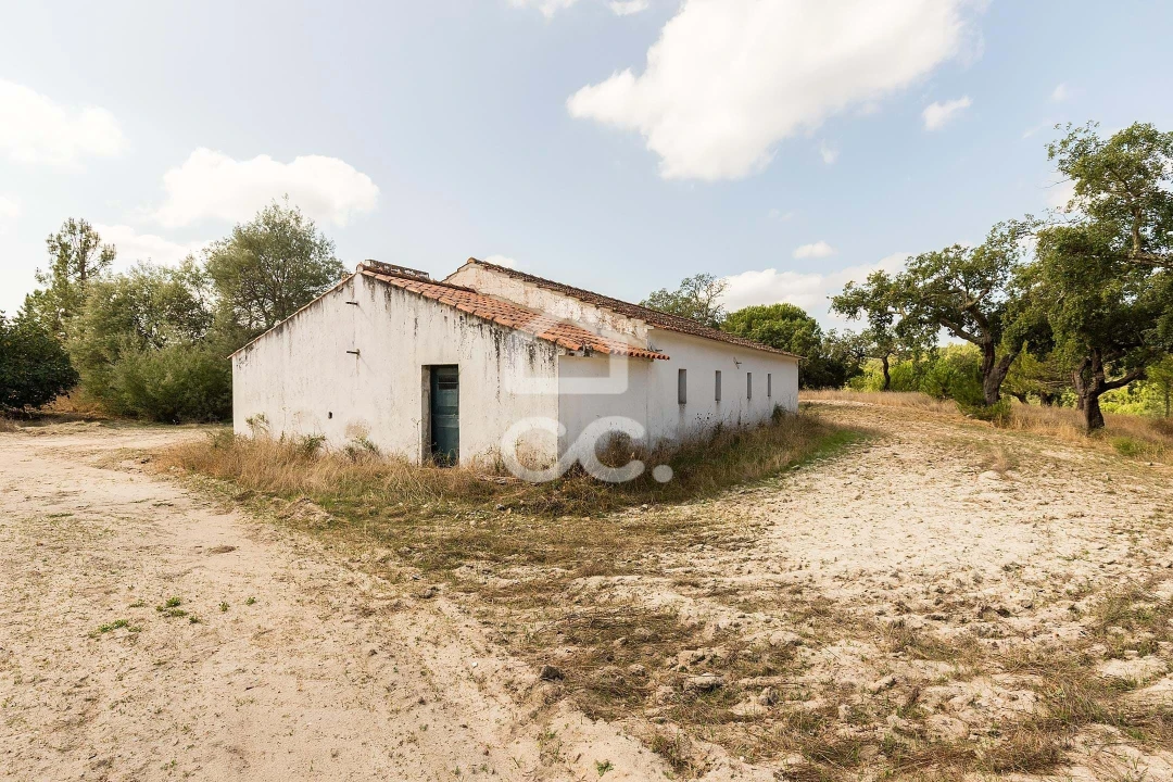 Quinta para Venda em Mora Foto 8