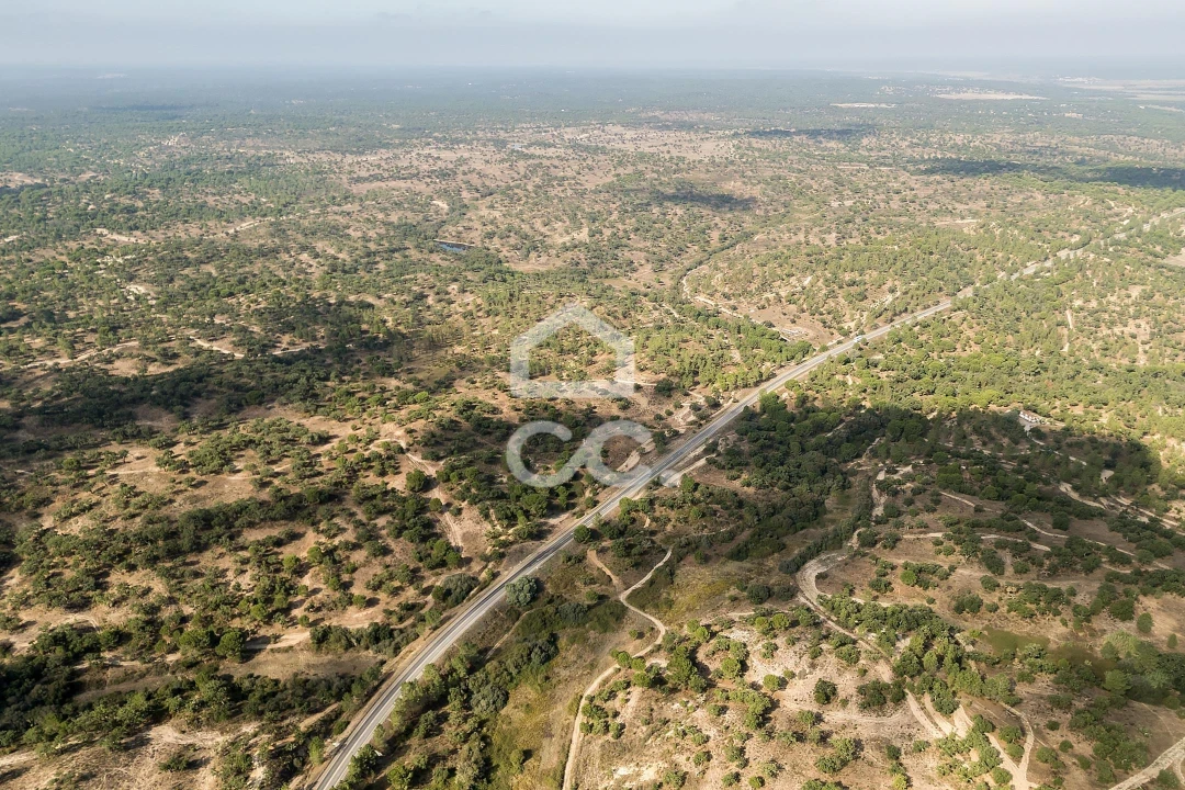 Quinta para Venda em Mora Foto 37