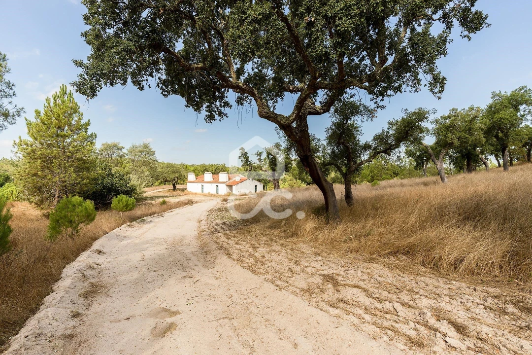 Quinta para Venda em Mora Foto 31