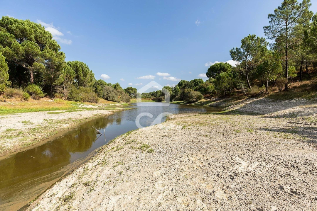 Quinta para Venda em Mora Foto 11