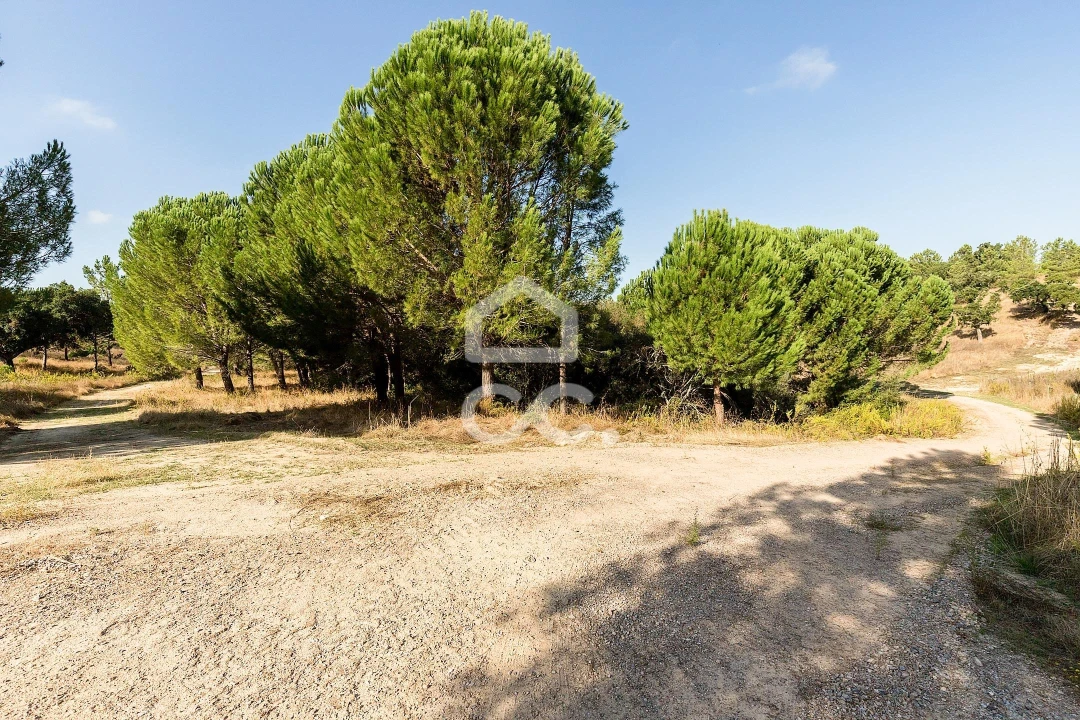 Quinta para Venda em Mora Foto 26