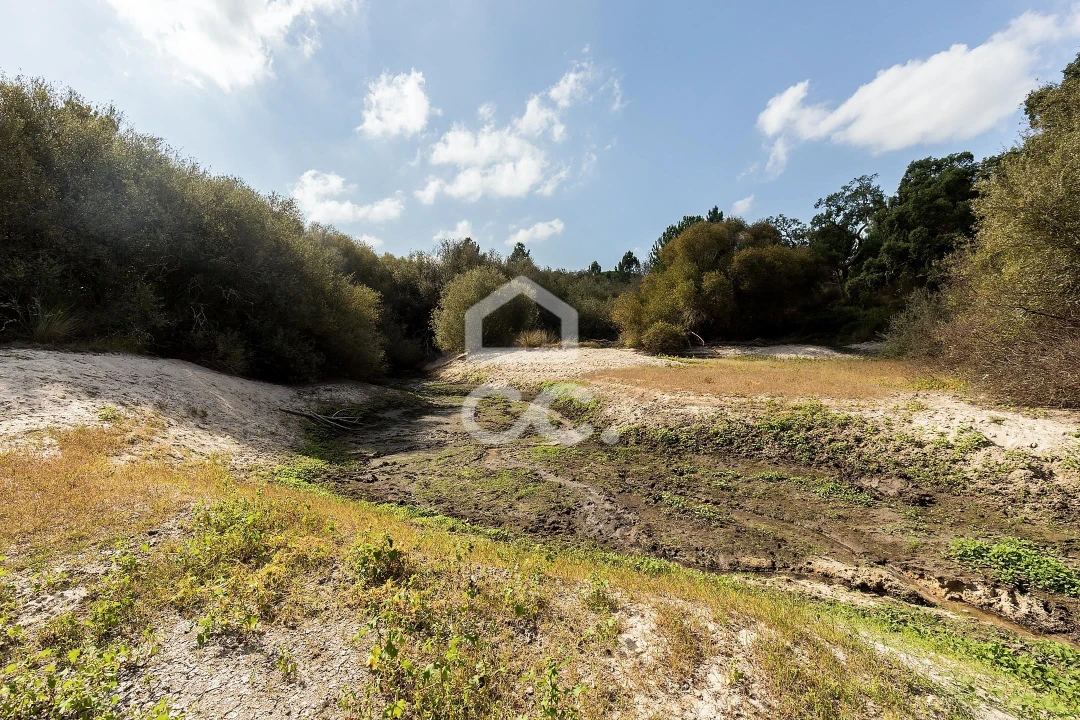 Quinta para Venda em Mora Foto 12