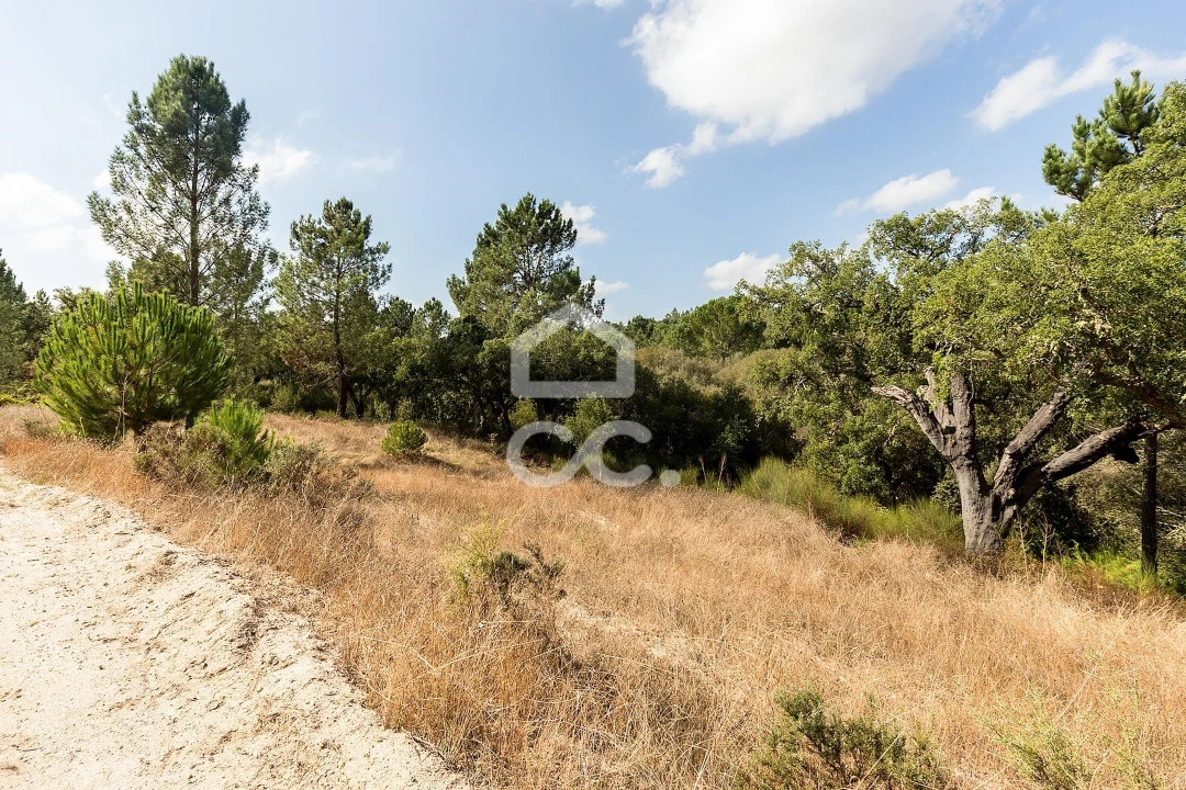 Quinta para Venda em Mora Foto 15