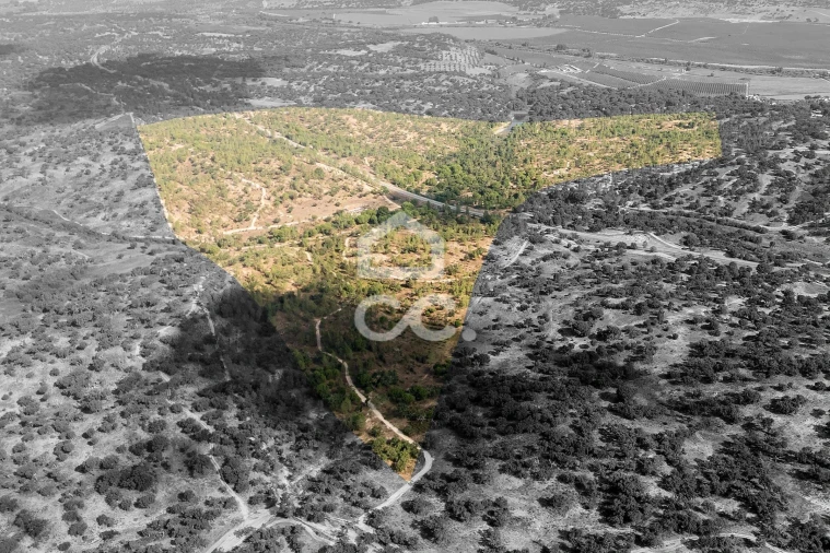 Quinta para Venda em Mora Foto 5