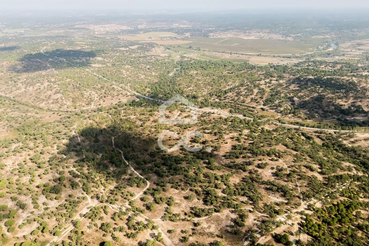 Quinta para Venda em Mora Foto 44