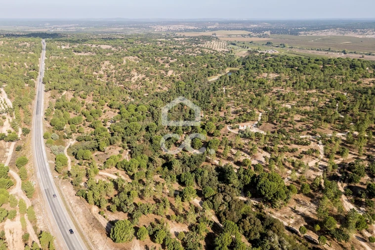 Quinta para Venda em Mora Foto 7