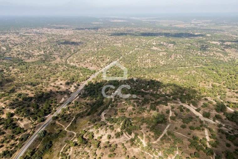 Quinta para Venda em Mora Foto 39