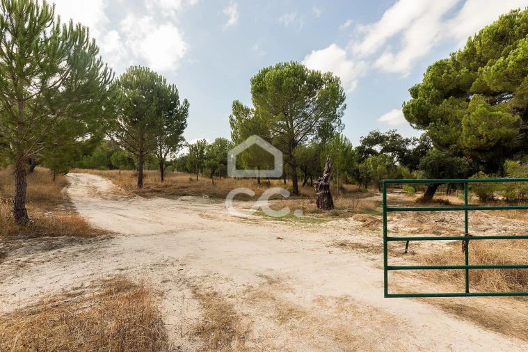 Quinta para Venda em Mora Foto 21